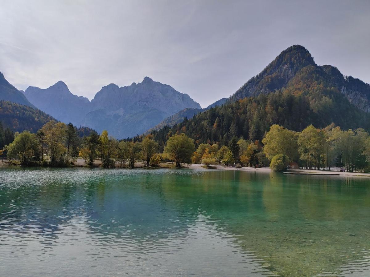 Ajda apartment Kranjska Gora Buitenkant foto